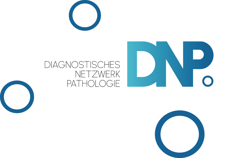 DNP-CI-2 1